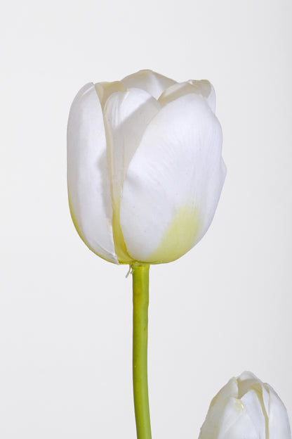 20" &amp; 24" Tulip Spray Bundle White