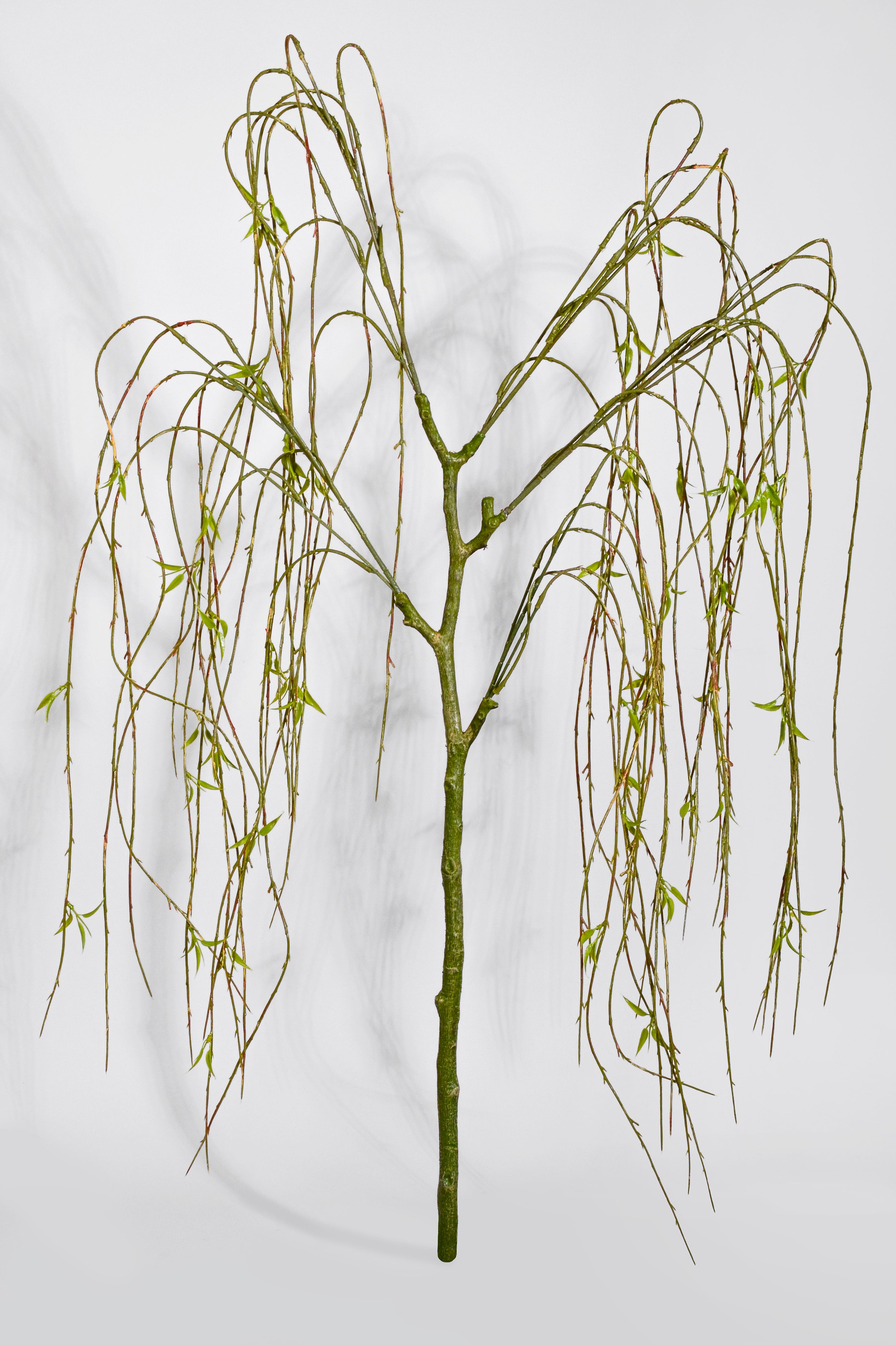 57" Artificial Willow Hanging Branch Green