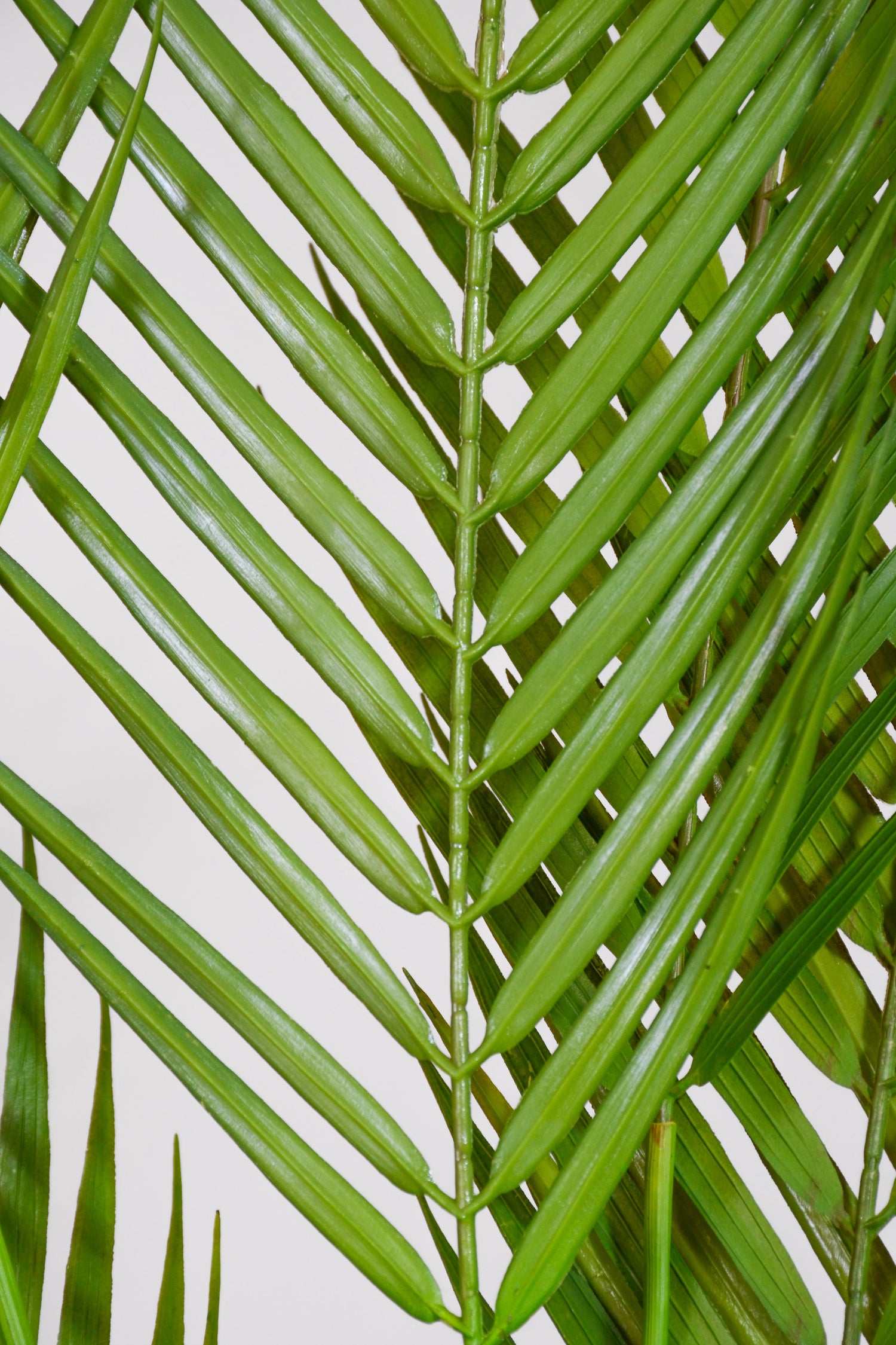 58" Artificial Areca Palm Spray Green