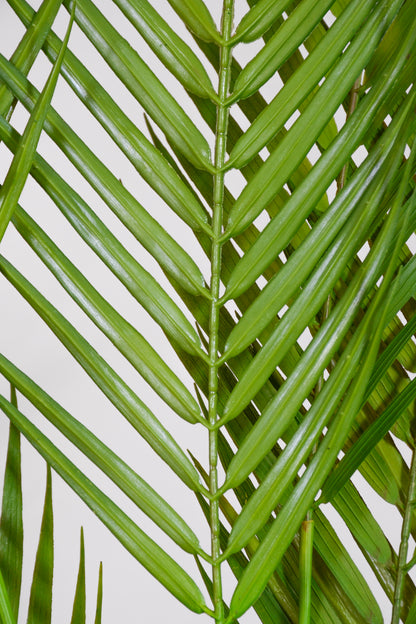 58" Artificial Areca Palm Spray Green