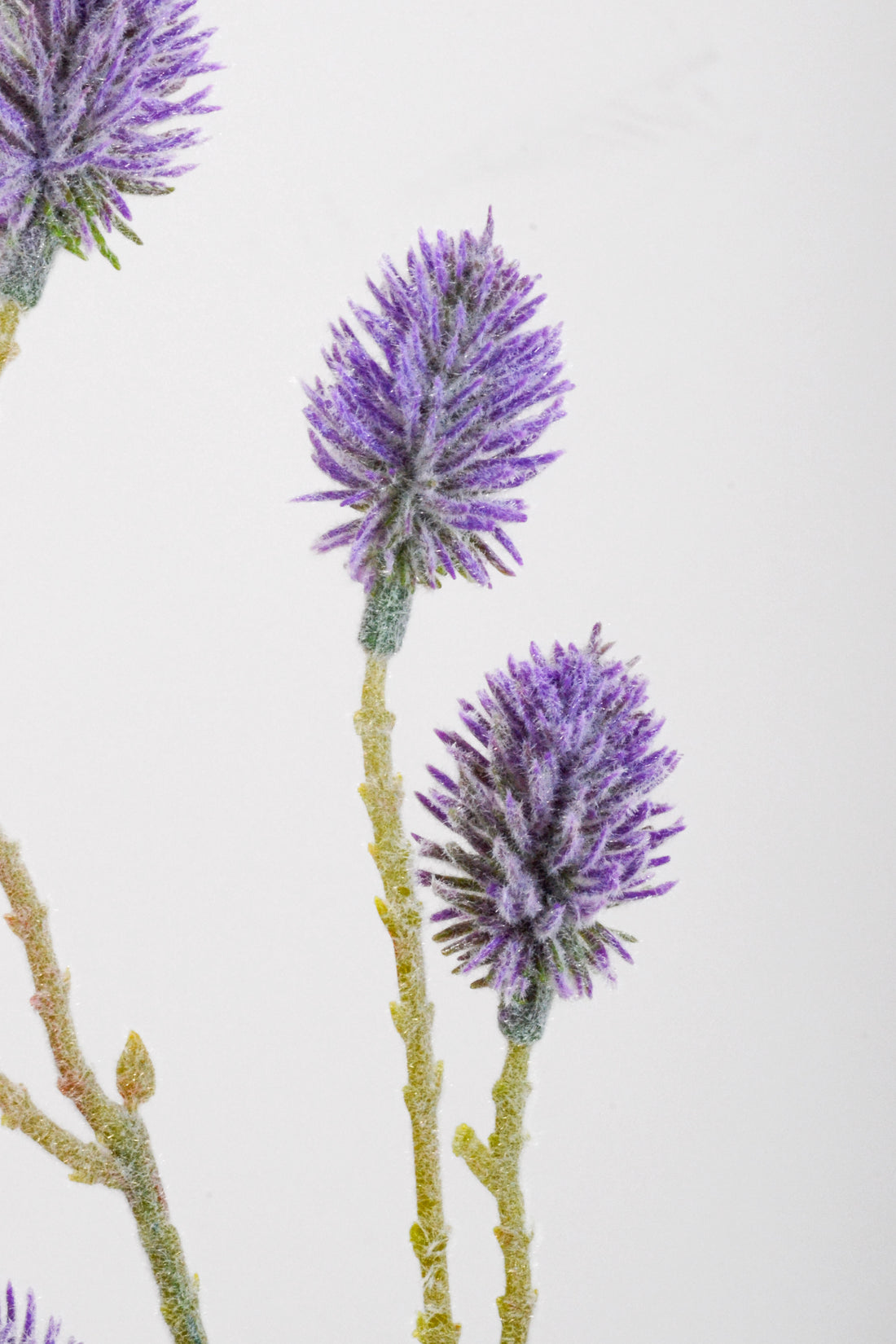 25" Artificial Pine Flower Spray Purple