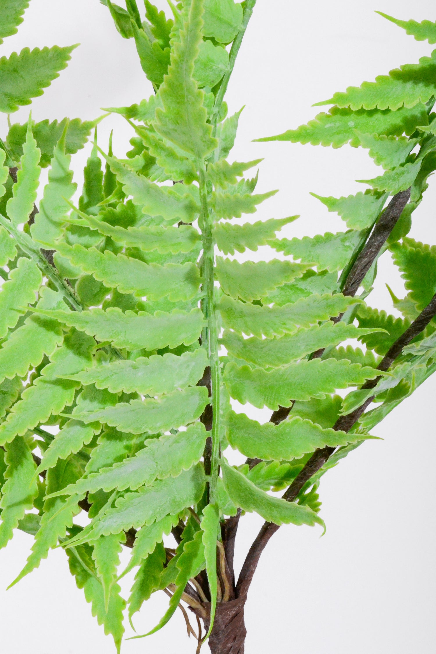 18" Artificial Pteridaceae Bush Green