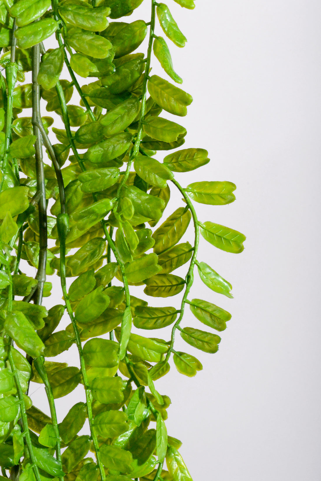 7.3Ft Artificial Peperonia Leaf Garland Green