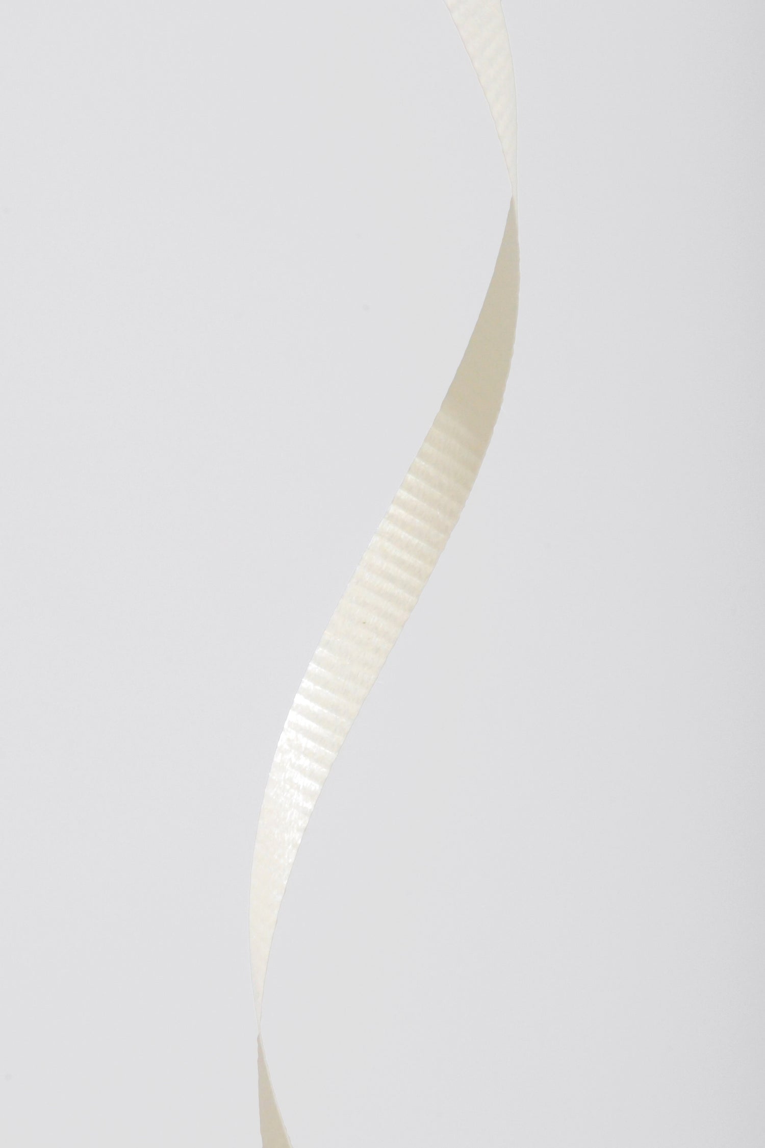 3/16" X 500Y Crimped Curling Ribbon Ivory