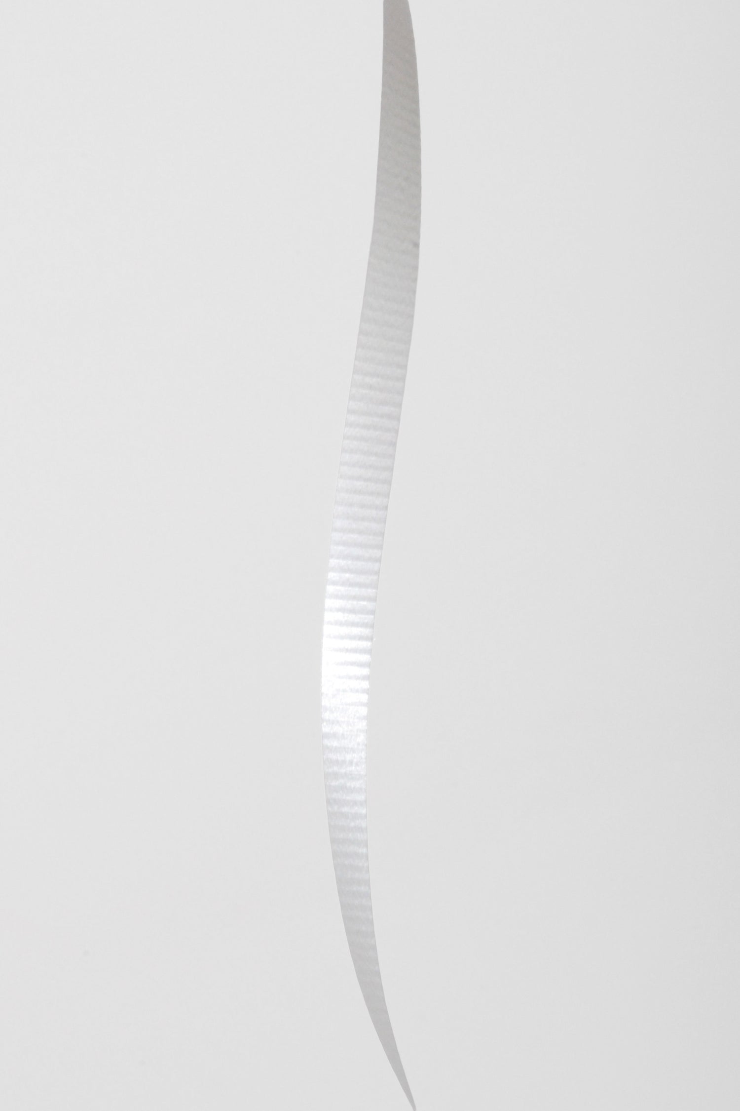 3/16" X 500Y Crimped Curling Ribbon White