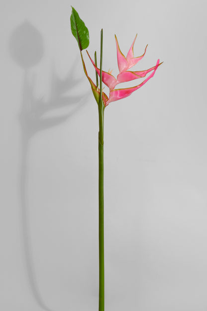 36" Artificial Heliconia Spray Pink