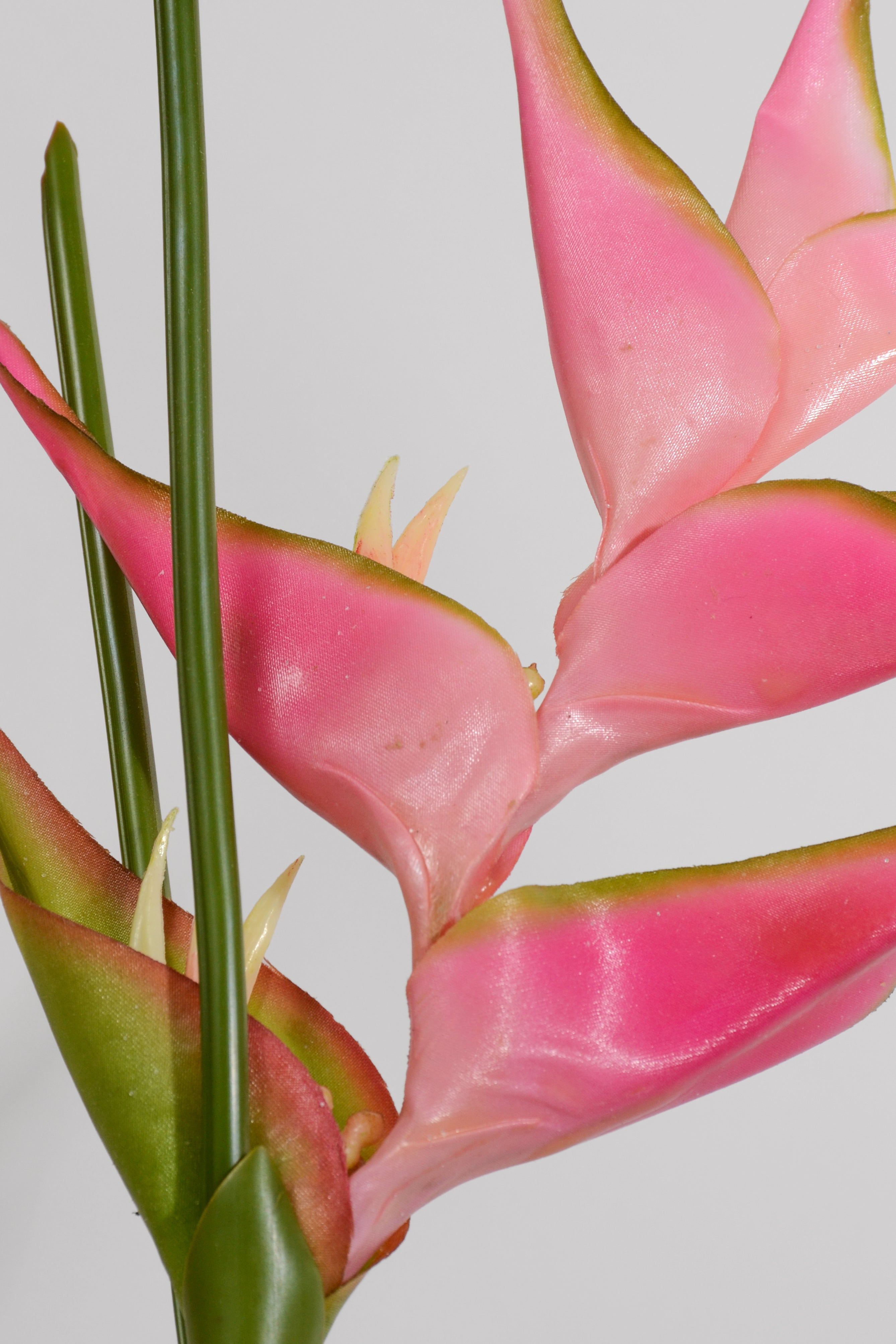 36" Artificial Heliconia Spray Pink