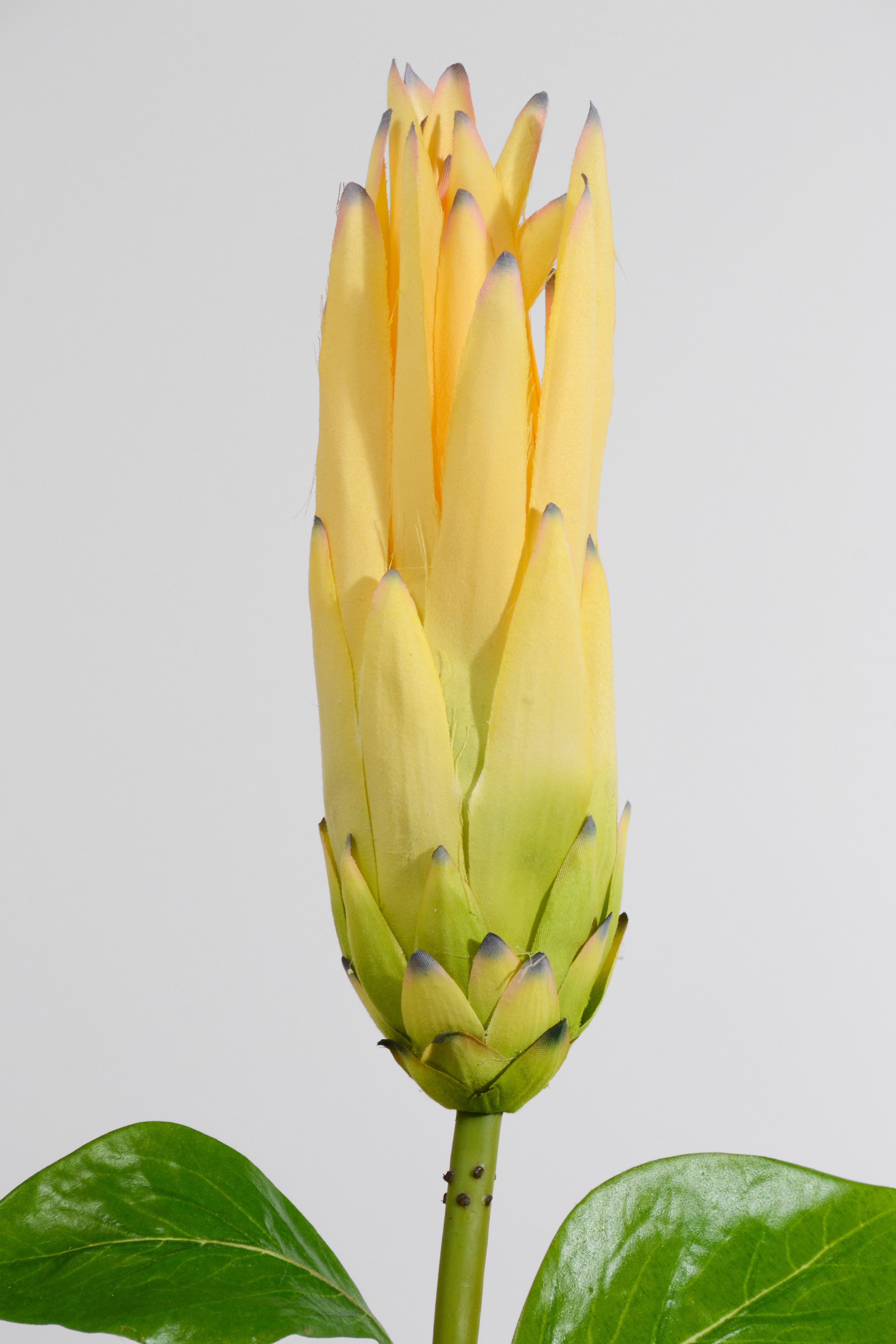 33" Artificial Protea Spray Yellow