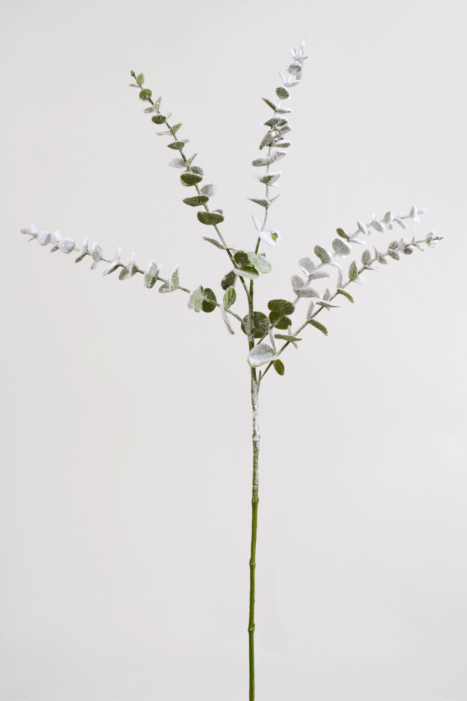 29" Glitter Snow Eucalyptus Spray White/Green