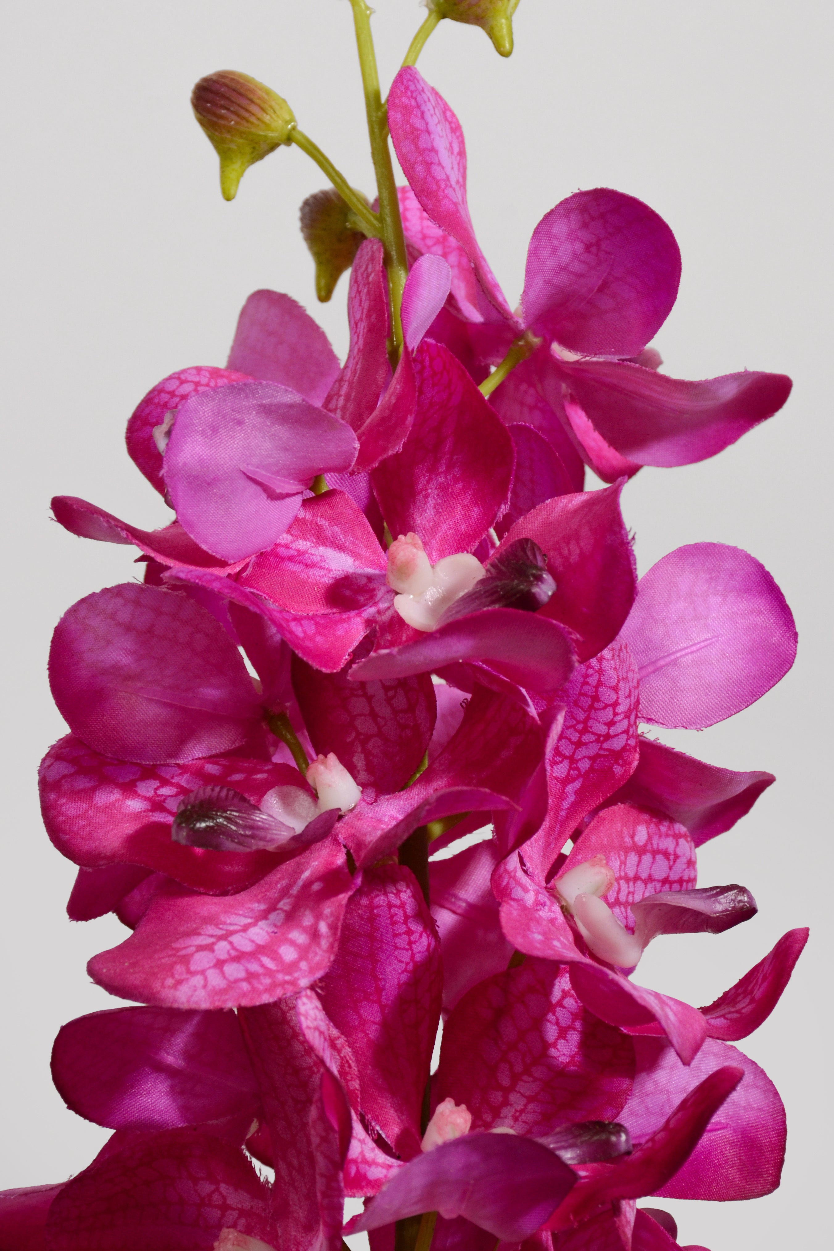 25" Silk Vanda Orchid Plant Fuchsia
