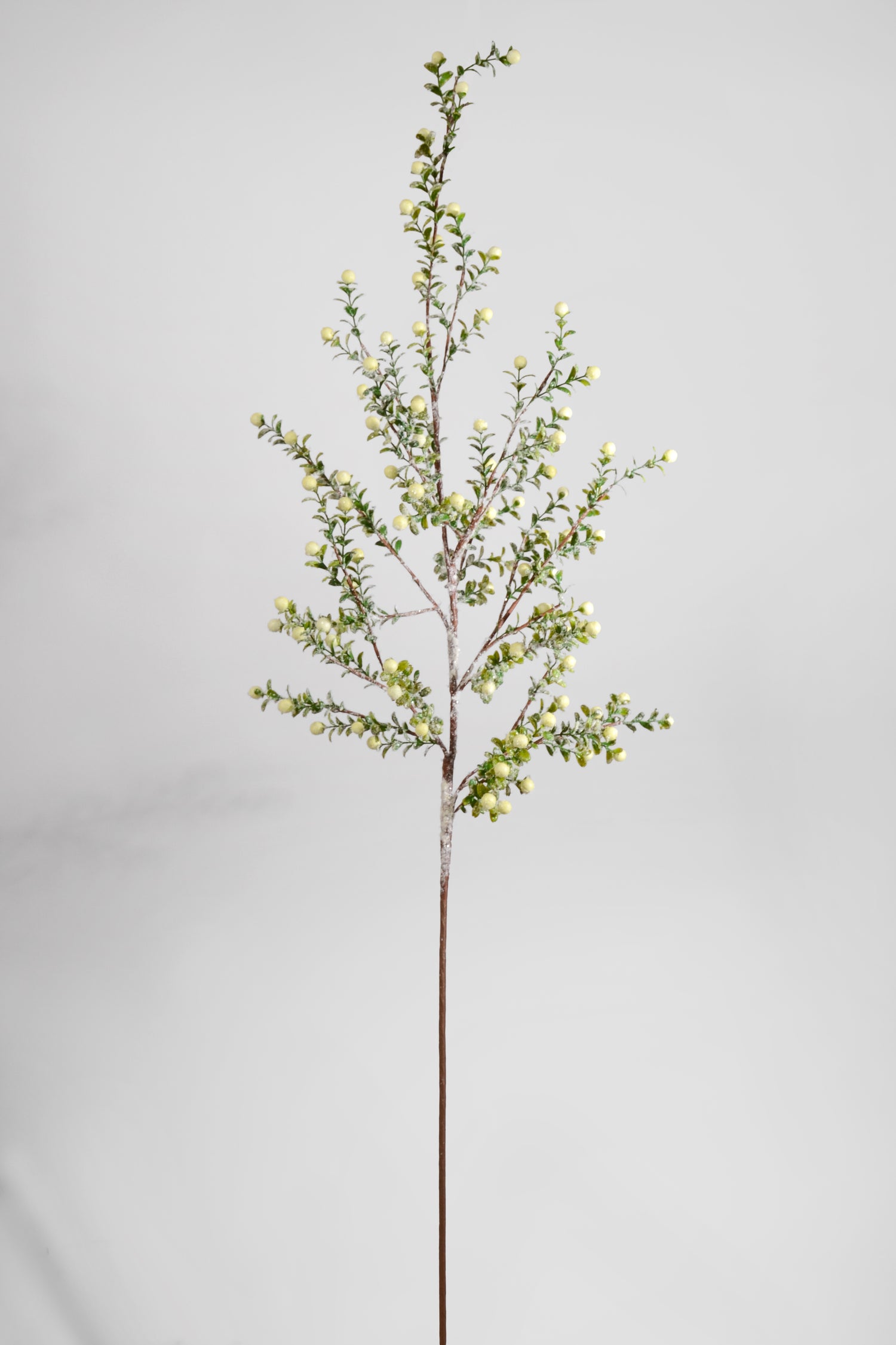 48" Snowed Berry Spray White