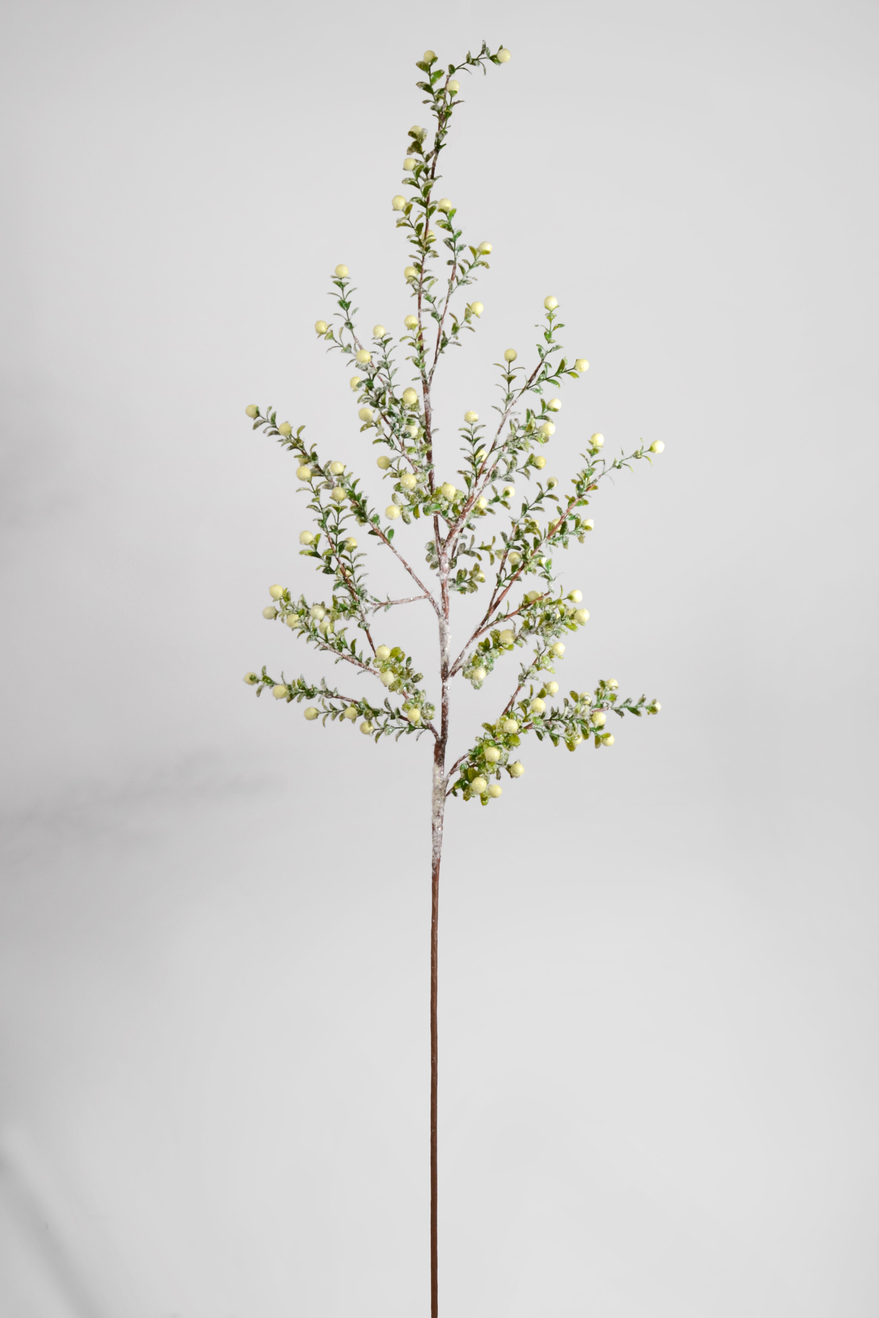 48" Snowed Berry Spray White