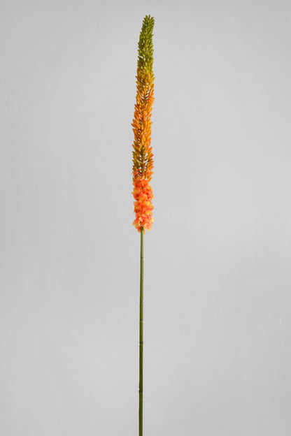 44" Foxtail Lily Spray Orange/Green
