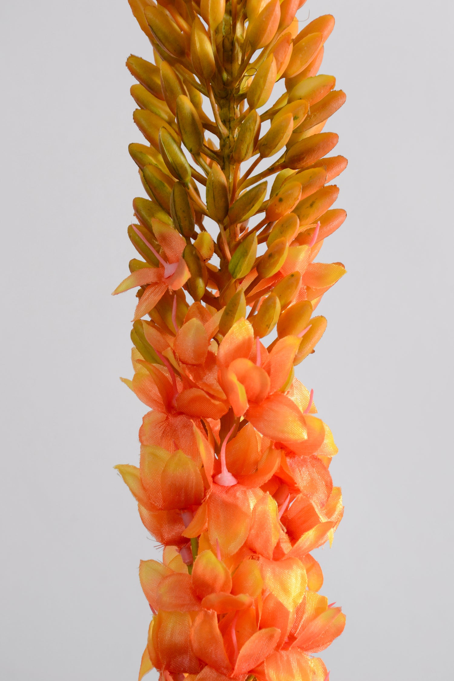 44" Foxtail Lily Spray Orange/Green