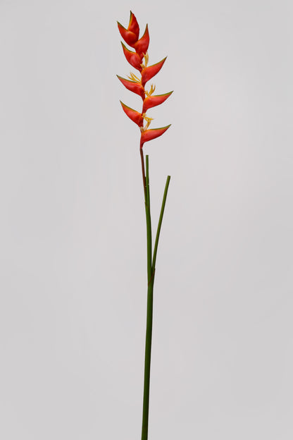 60&