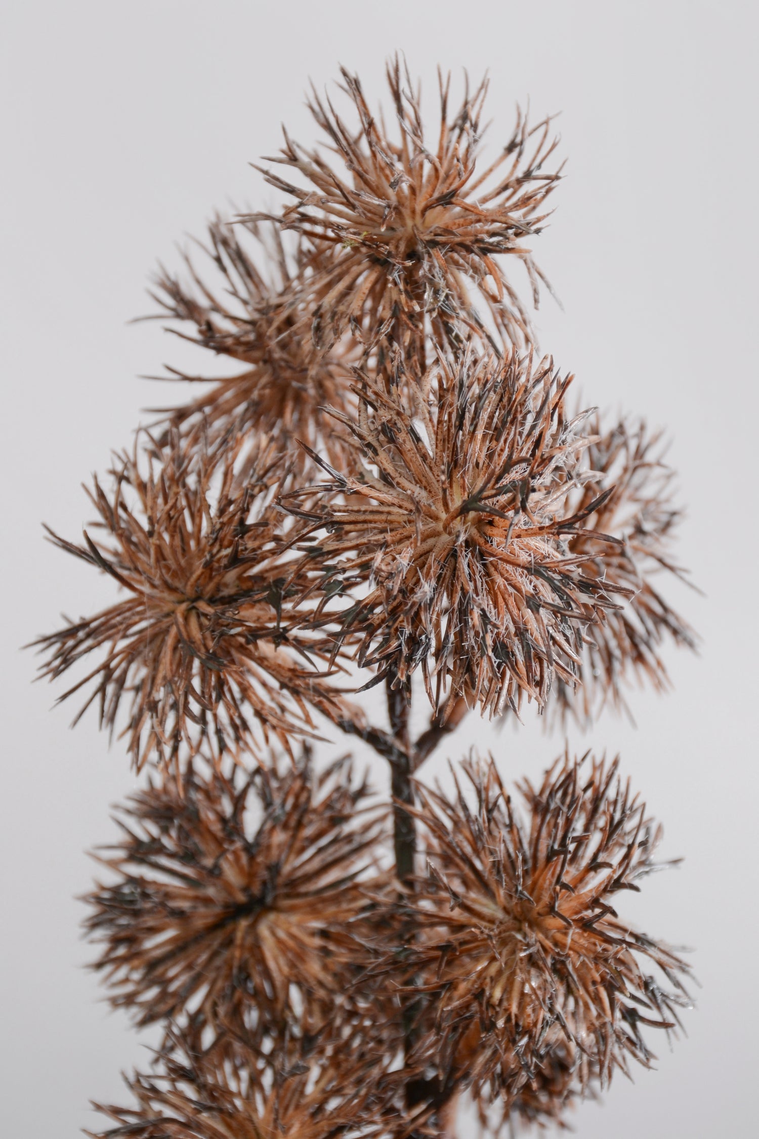 27.5" Artificial Thistle Spray Tan