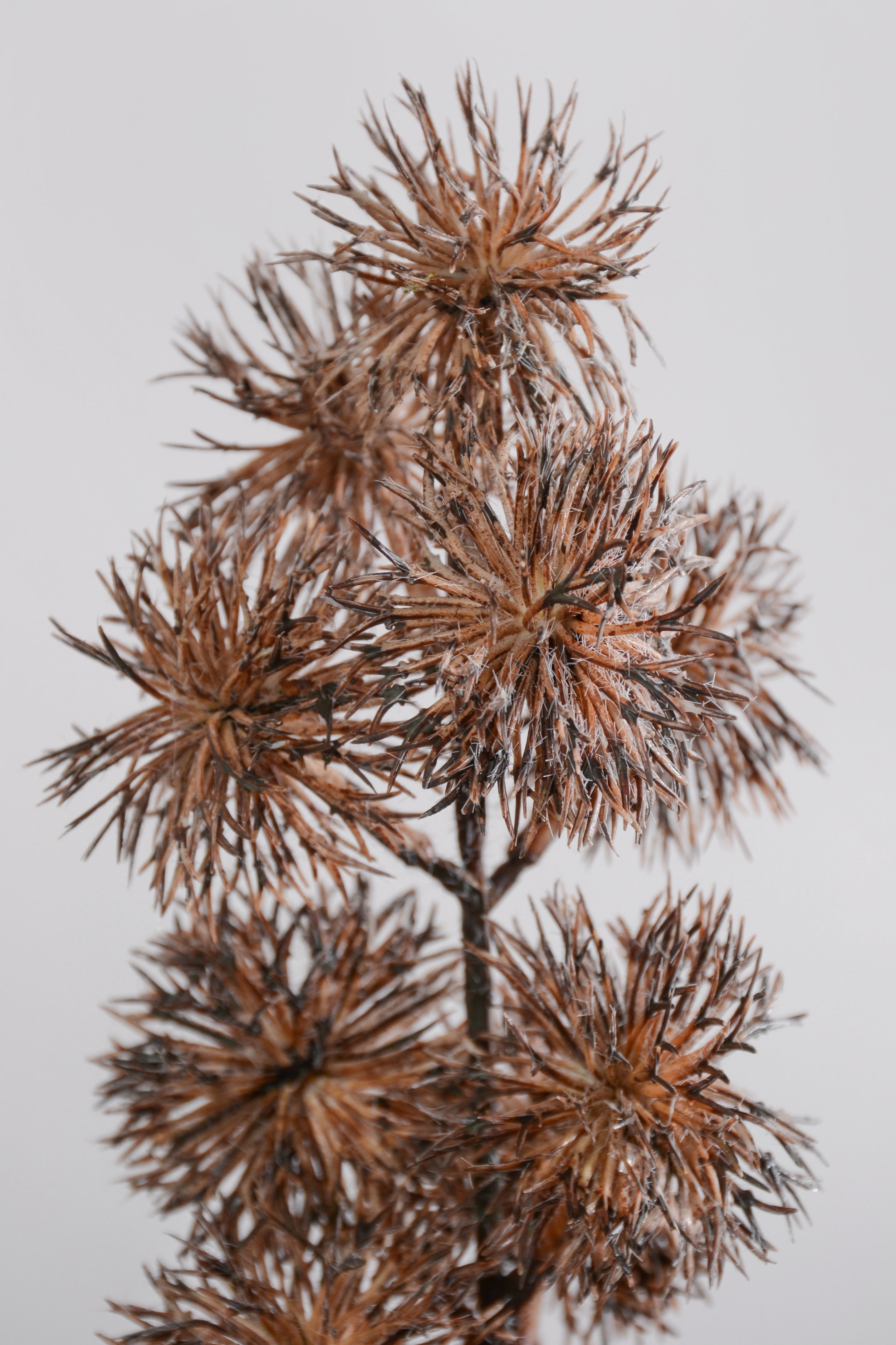 27.5" Artificial Thistle Spray Tan
