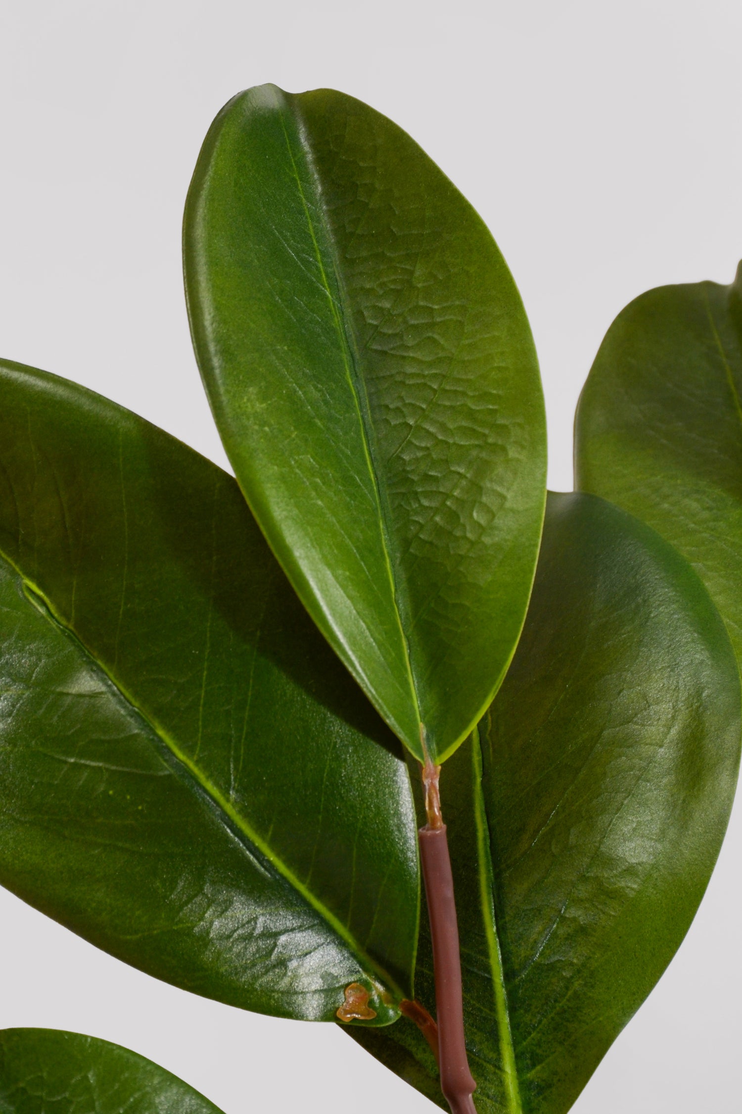 32" Artificial Magnolia Leaf Spray Green
