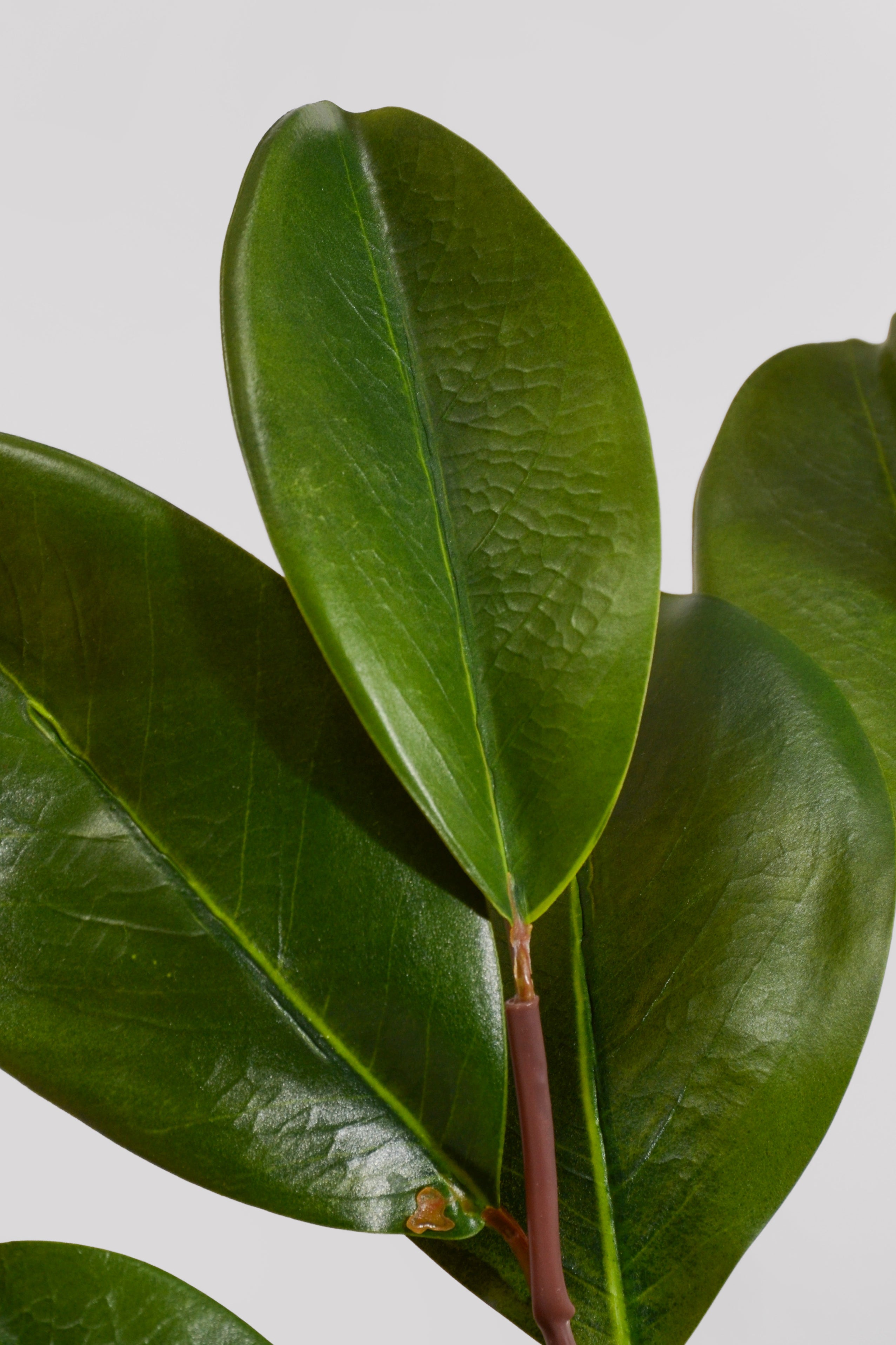 32" Artificial Magnolia Leaf Spray Green