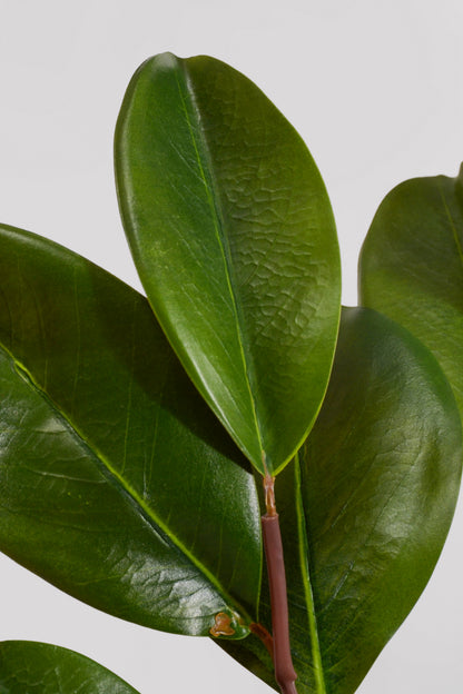 32" Artificial Magnolia Leaf Spray Green