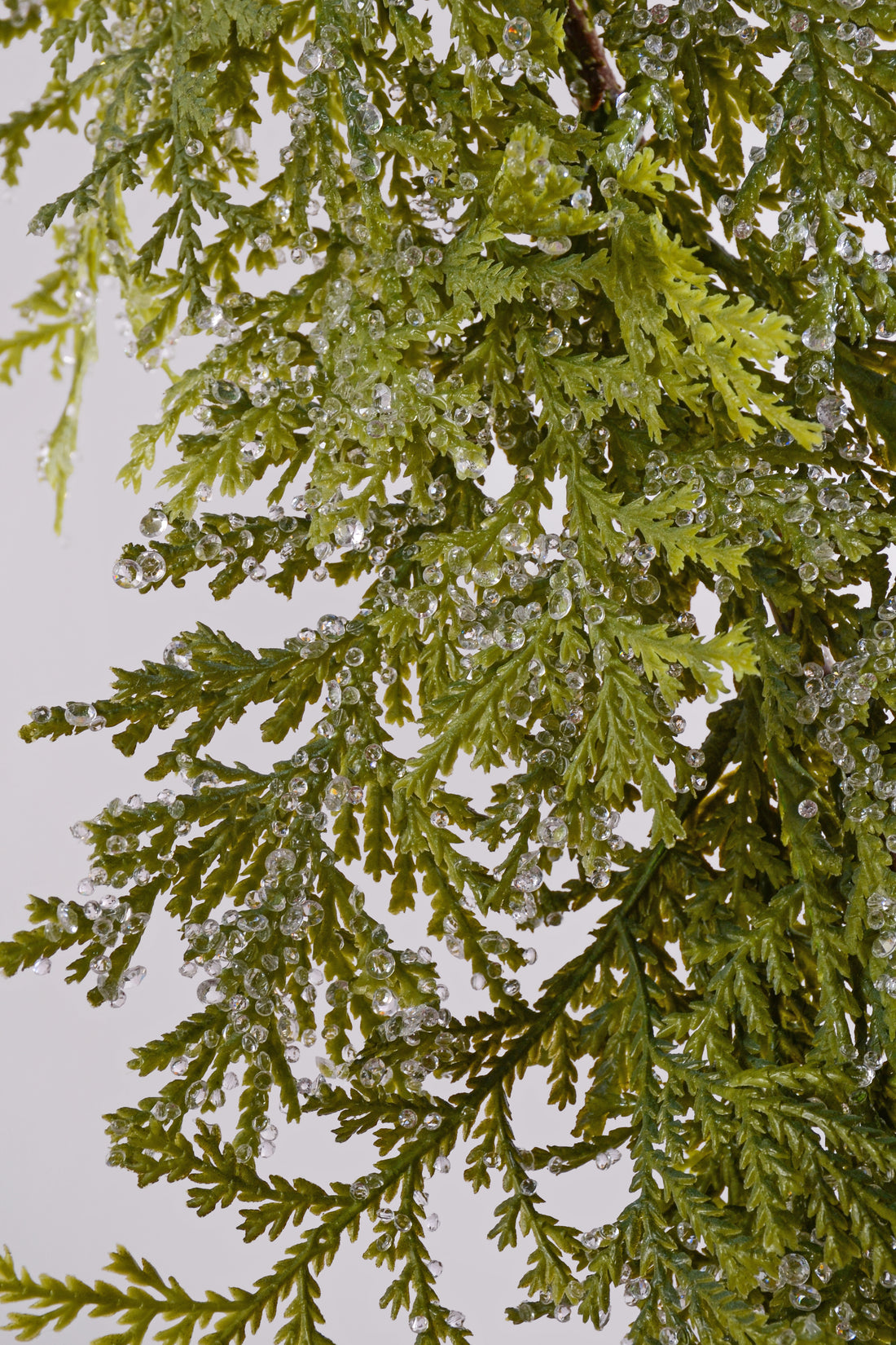 6Ft Iced Cedar Garland Green/Cristal White