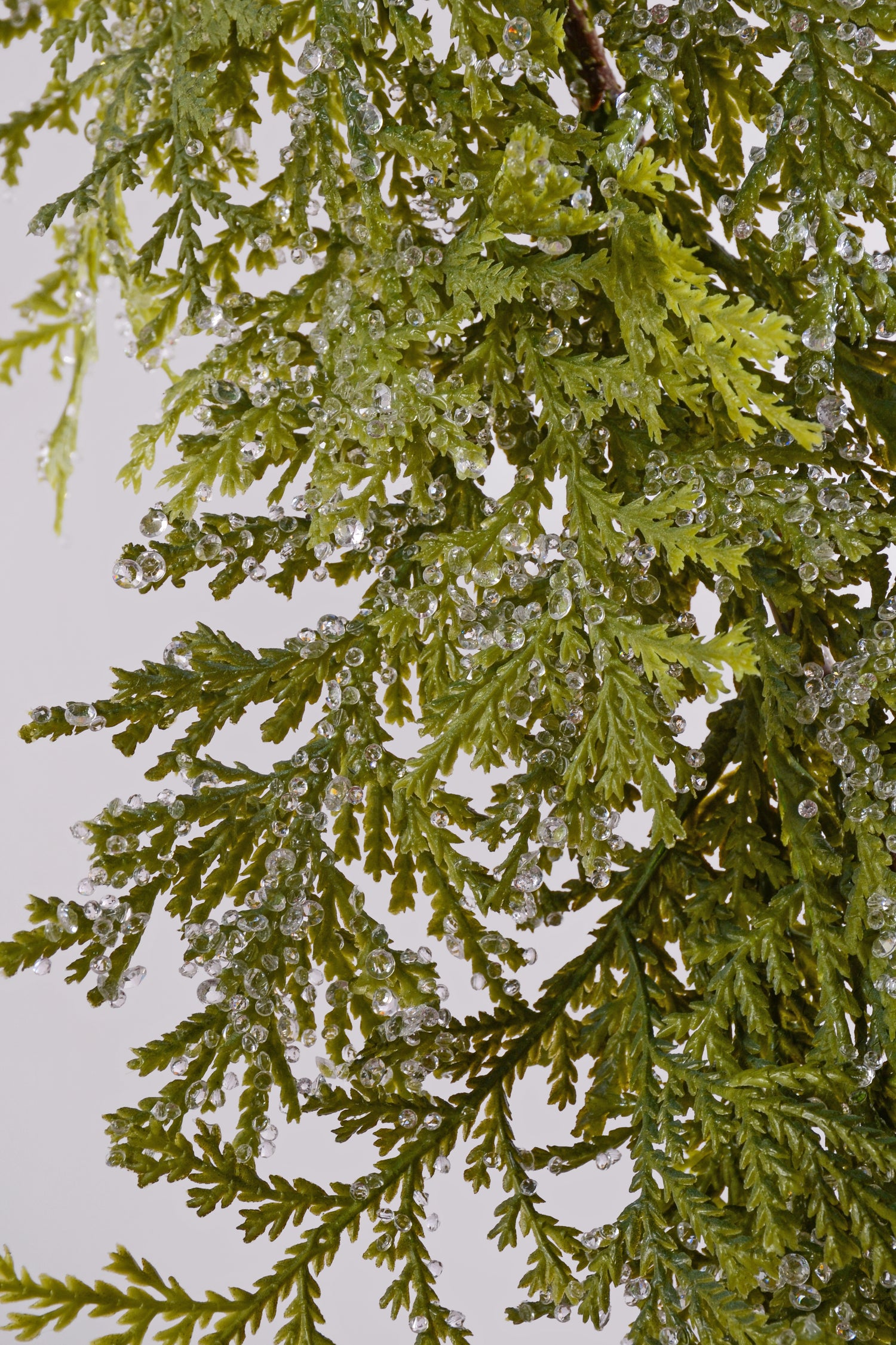 6Ft Iced Cedar Garland Green/Cristal White