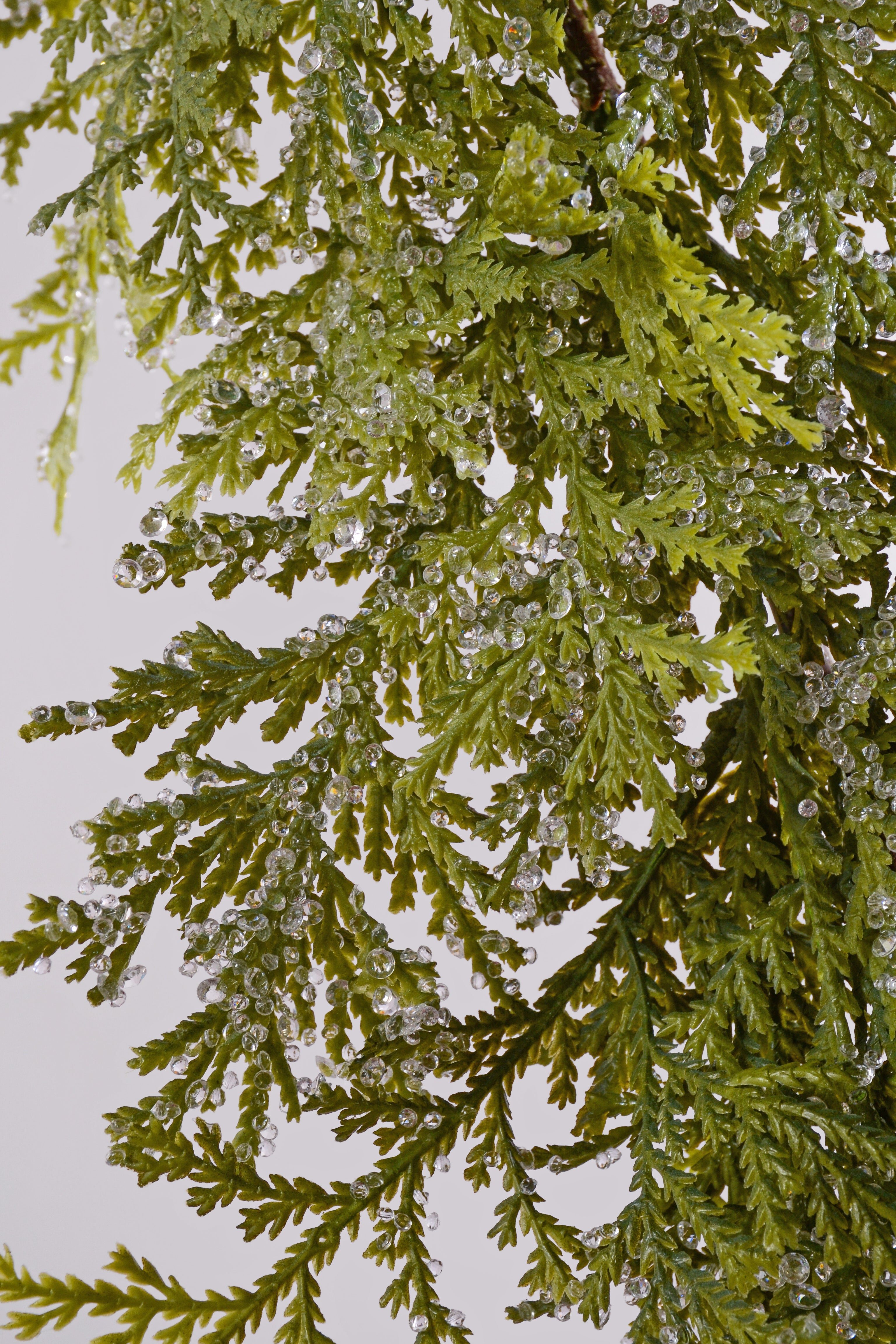 6Ft Iced Cedar Garland Green/Cristal White