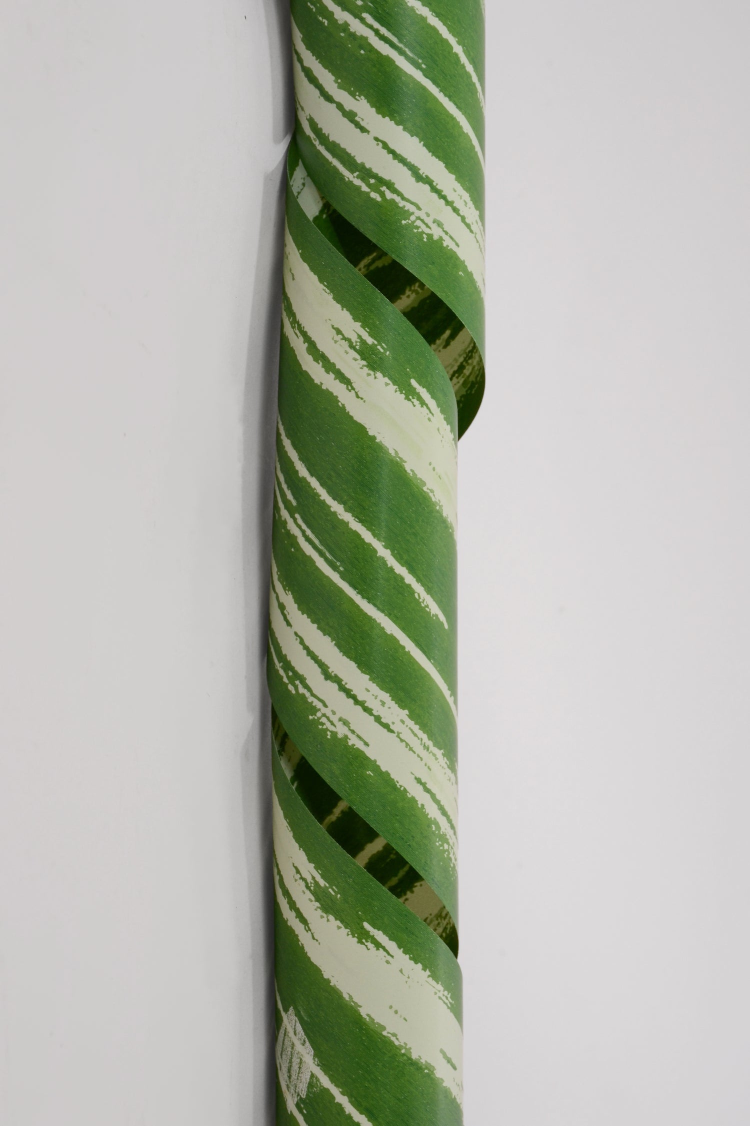 4.25" X 50yds Tropical Poly Ribbon Leaf Green