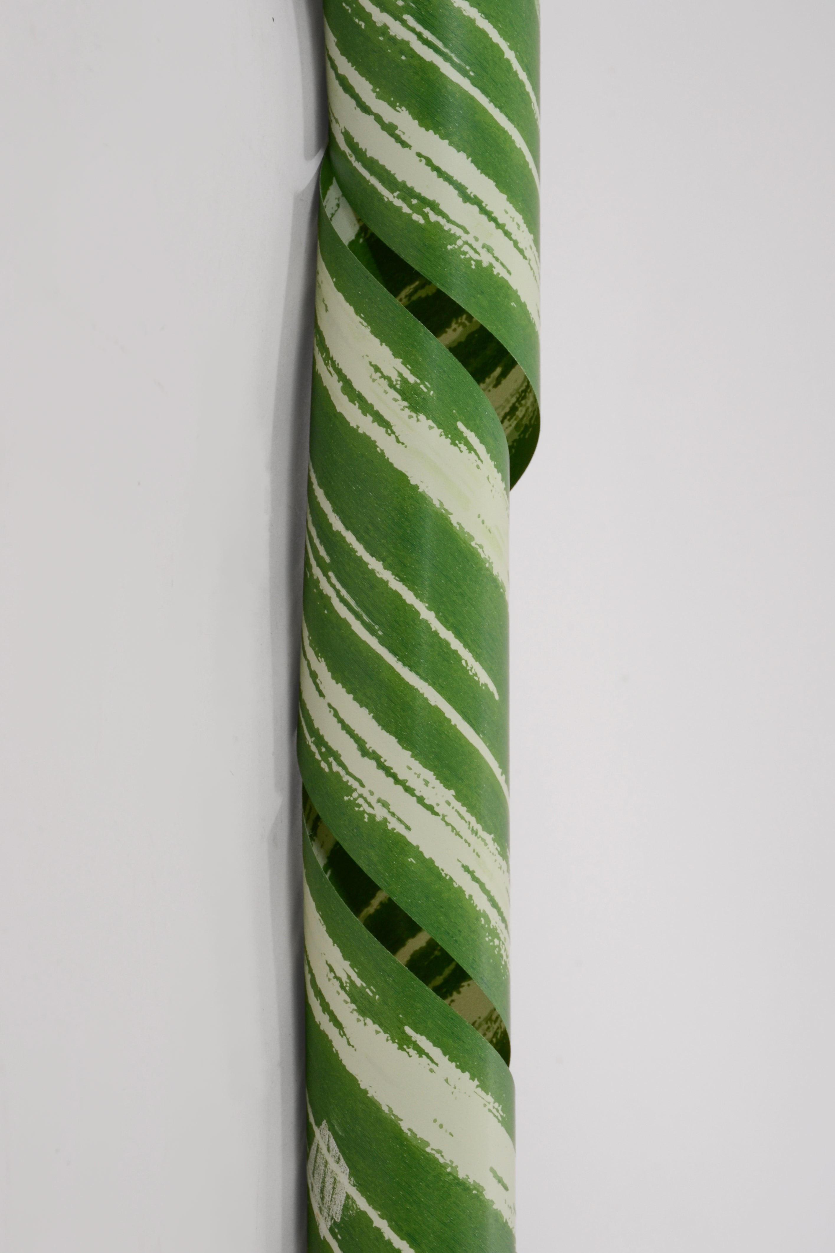 4.25" X 50yds Tropical Poly Ribbon Leaf Green