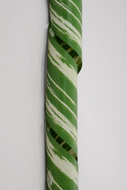 4.25" X 50yds Tropical Poly Ribbon Leaf Green