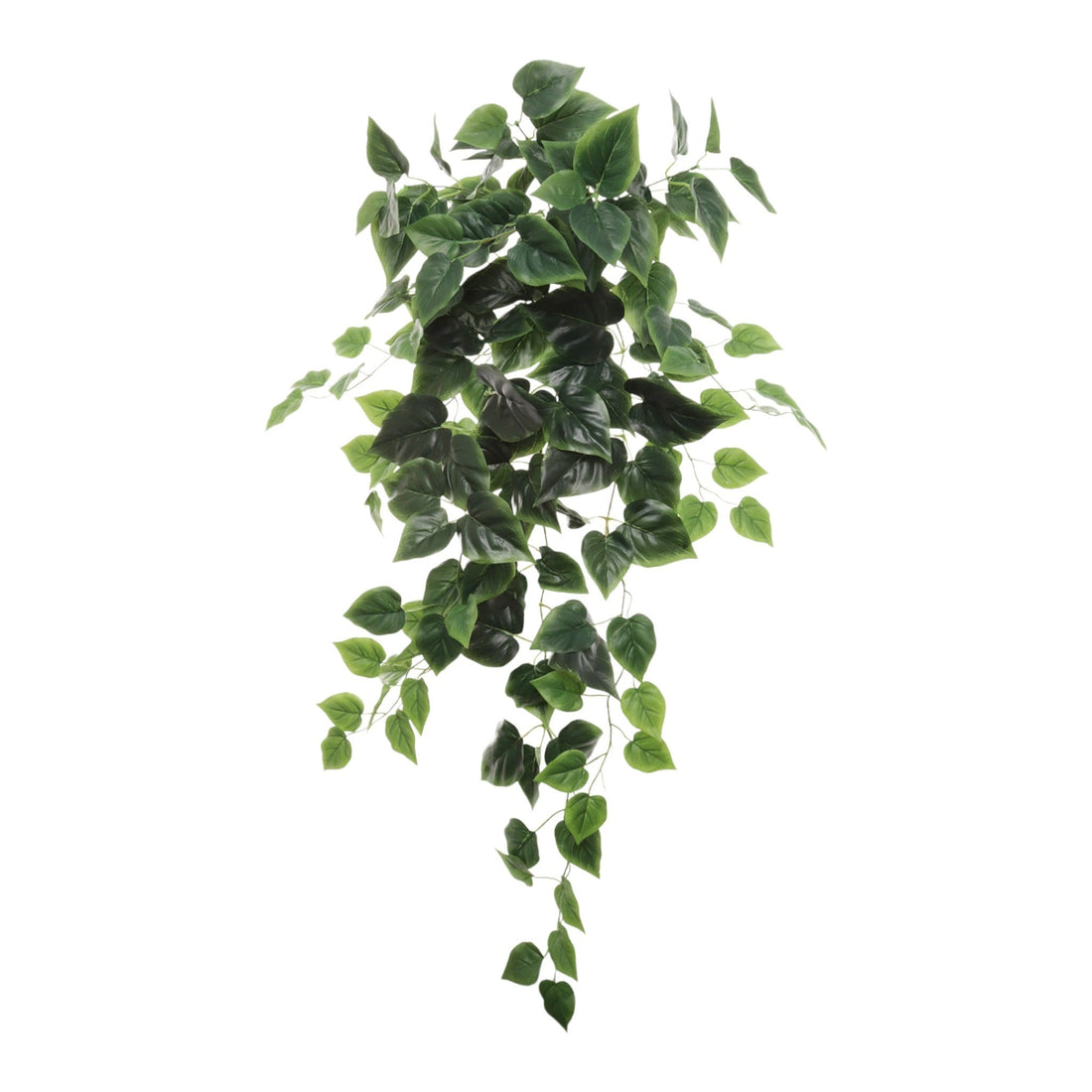 36&quot; Hanging Philodendron Bush X136 Green