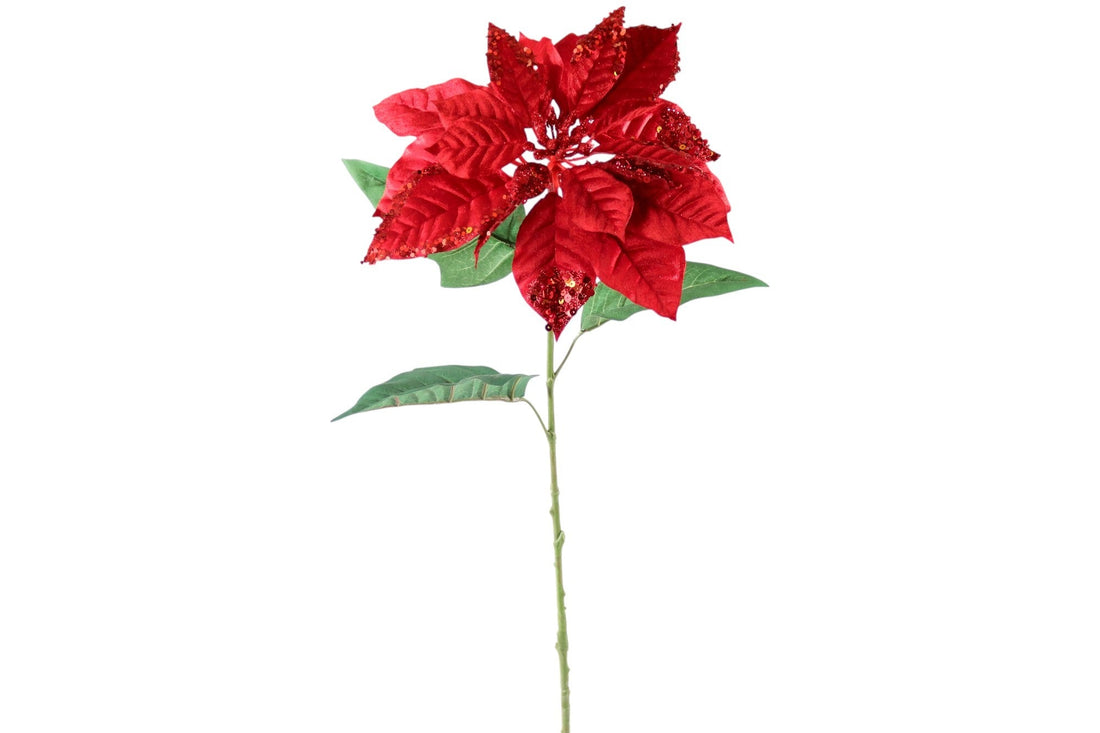 33" Poinsettia Red