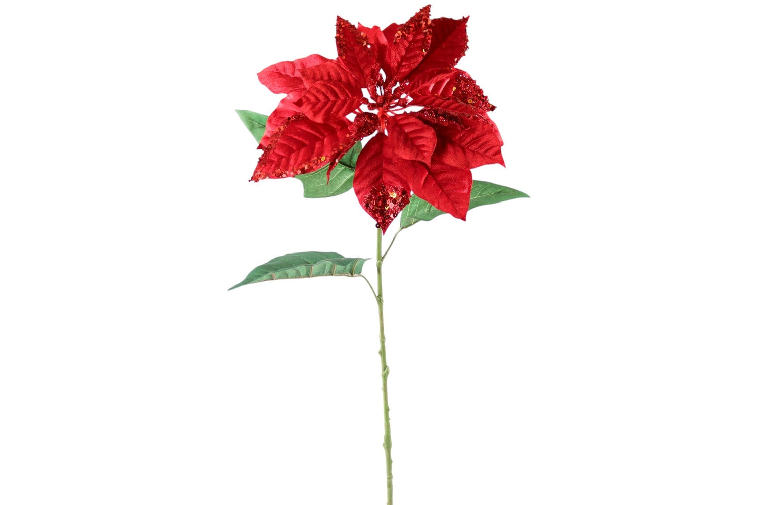 33" Poinsettia Red