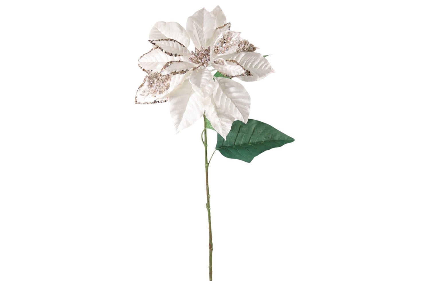 33" Poinsettia White