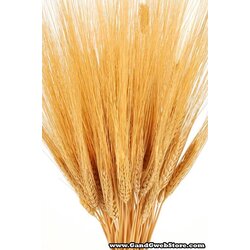 Triticum Wheat 8oz Natural
