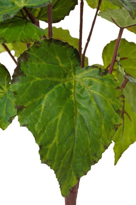14.5&quot; Begonia Leaf Bush Green