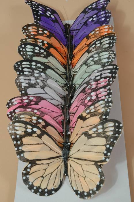 5" Butterfly Assorted Pkg/12
