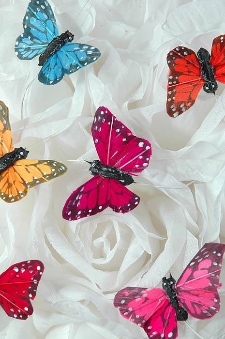 1&quot; Mini Butterfly Assorted Pkg/12