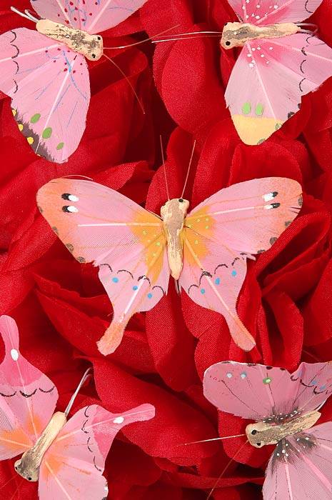 3" Nylon Wholesale Decorative Butterfly Assorted Pkg/12