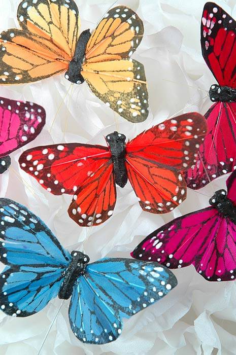 3&quot; Butterfly Assorted Pkg/12