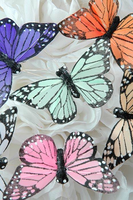3&quot; Butterfly Assorted Pkg/12