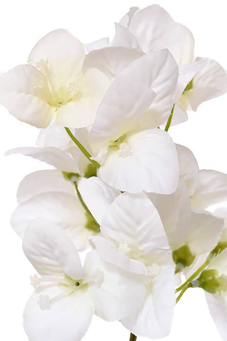 44&quot; Bougainvillea Spray White