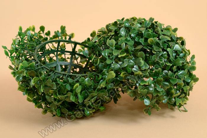 6" Boxwood Ball Green
