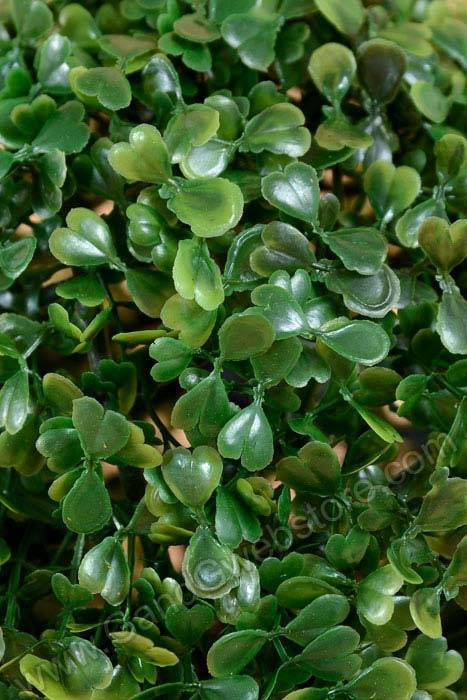 8" Boxwood Ball Green