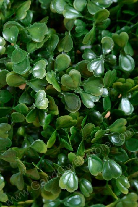 10" Boxwood Ball Green