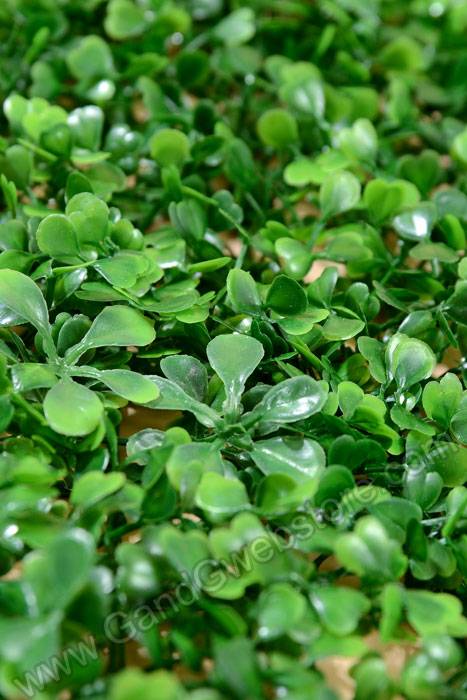 23.5" X 16" Boxwood Mat Green