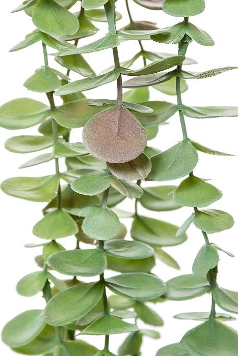 35" Eucalyptus Hanging Pick Green