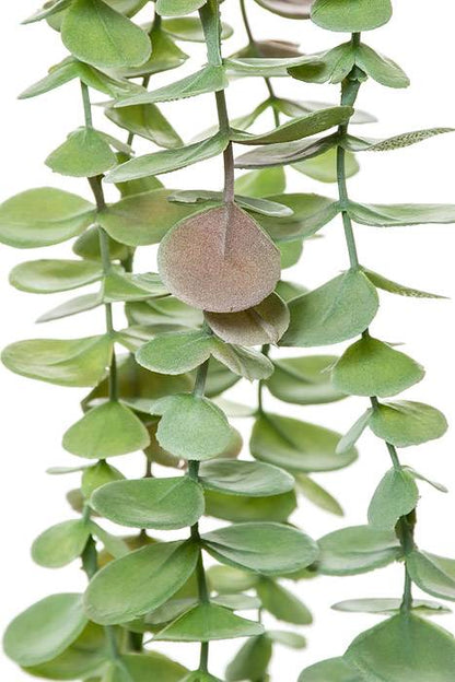35" Eucalyptus Hanging Pick Green