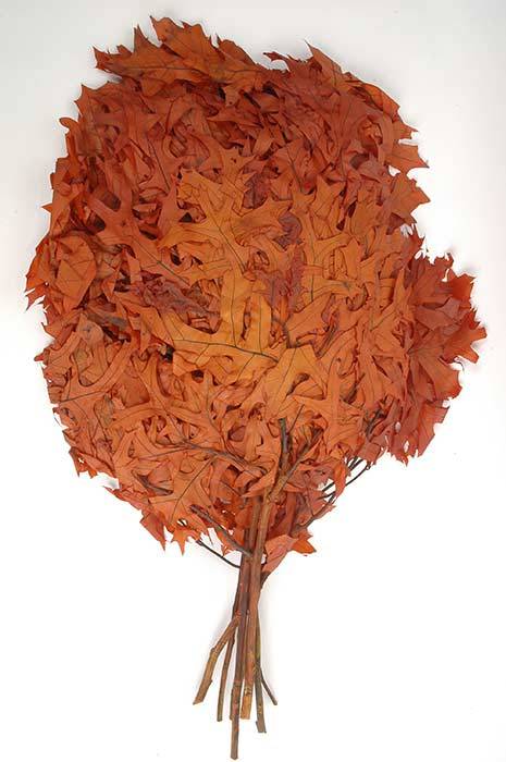 Transparent Oak Leaves Rust Pkg/1lb