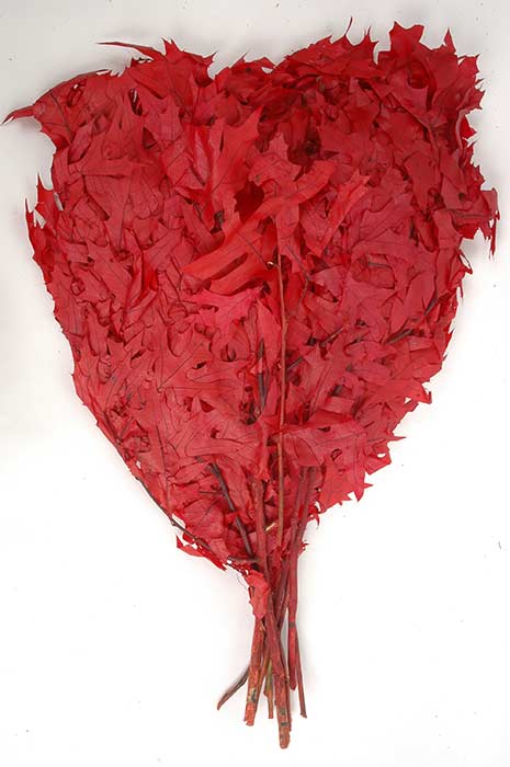 Transparent Oak Leaves 1lb Red